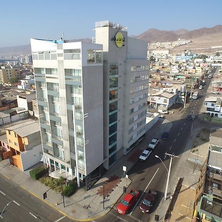 Alto Del Sol Costanera Antofagasta Hotel Eksteriør billede